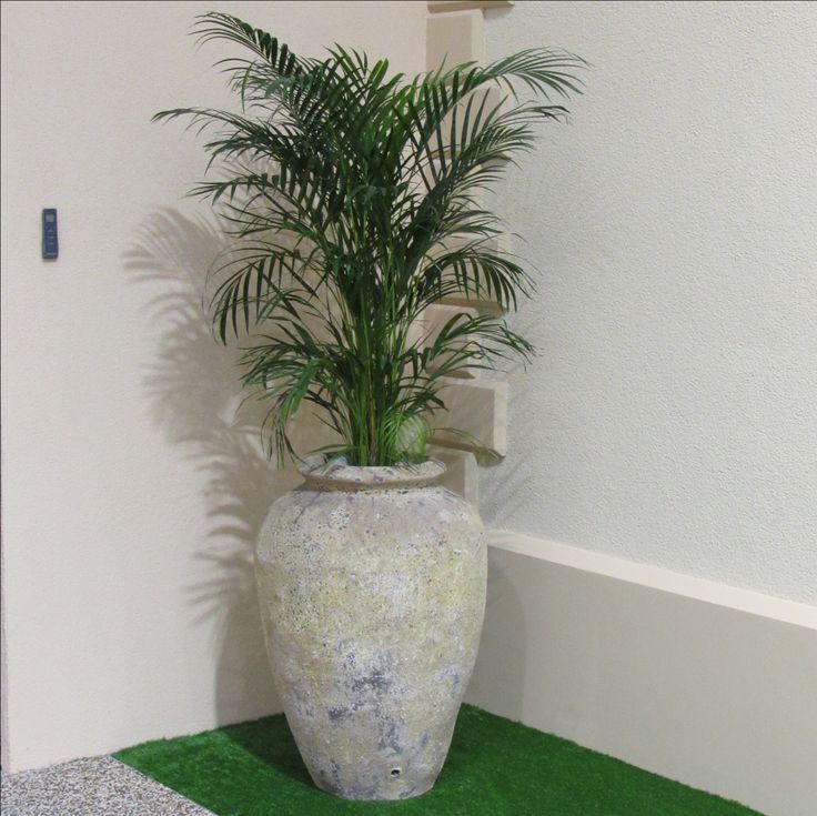 Verde Vista pot 36