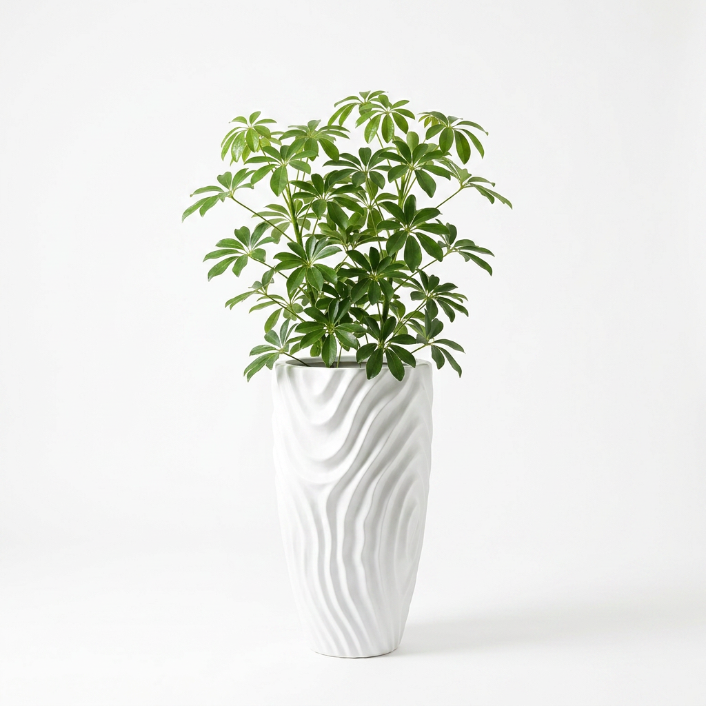 Curling pot 24