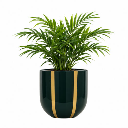 Lush Vista Pot 18