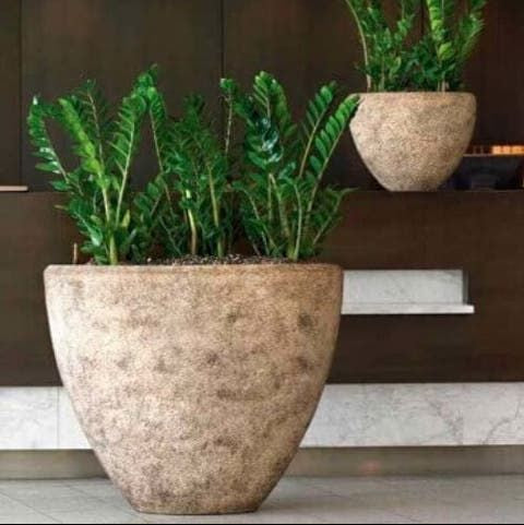 Round Texture pot