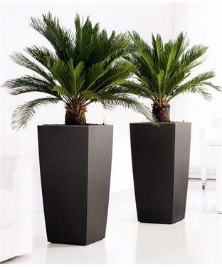 Square Line planter 36