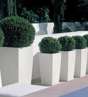 six Step planter 36