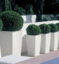 six Step planter 36