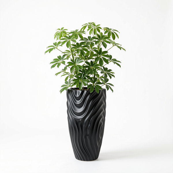 Curling pot 24